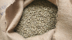 100% Arabica Vietnamese Highlands Green Coffee Beans