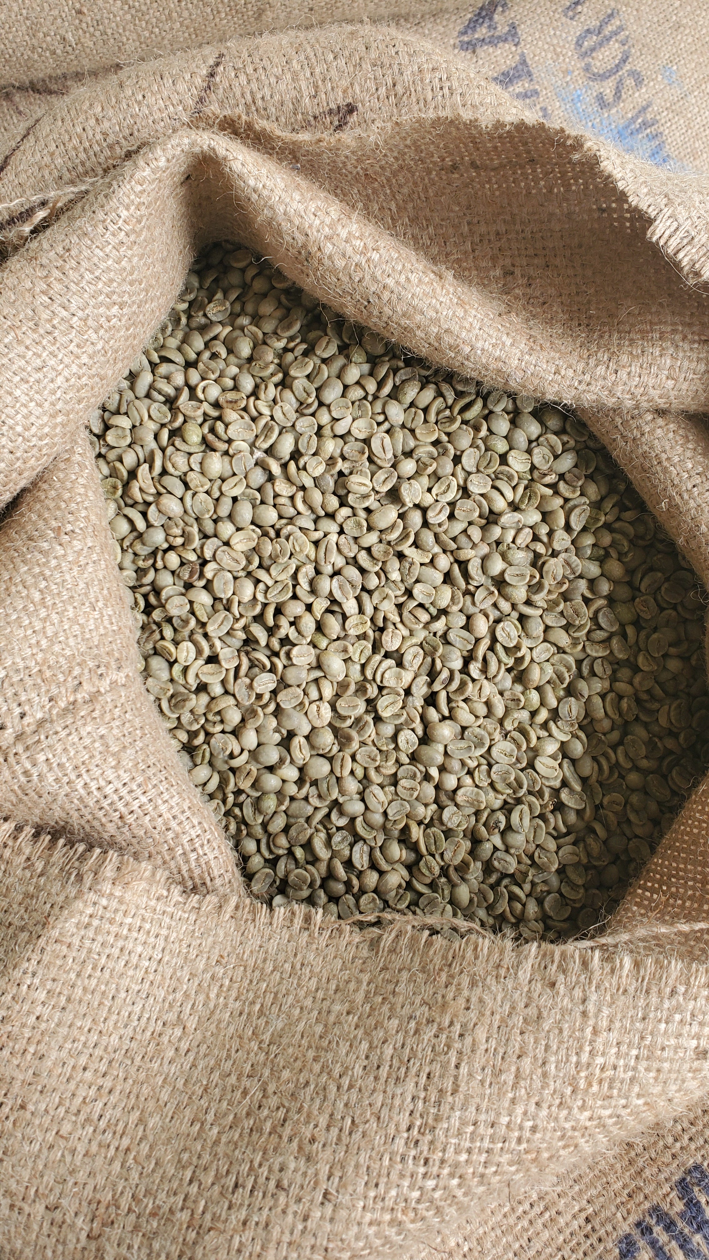 Vietnamese Highlands Single Origin Unroasted Green Coffee Beans